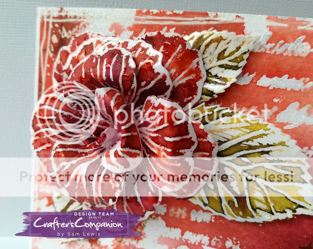 The Crippled Crafter A Rosy Outlook Aquatints & Embossing Powder Resist